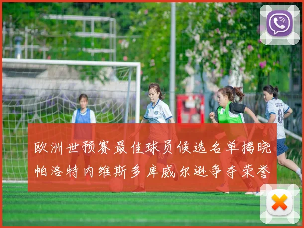 欧洲世预赛最佳球员候选名单揭晓帕洛特内维斯多库威尔逊争夺荣誉