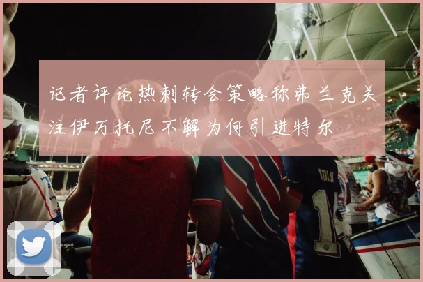记者评论热刺转会策略称弗兰克关注伊万托尼不解为何引进特尔